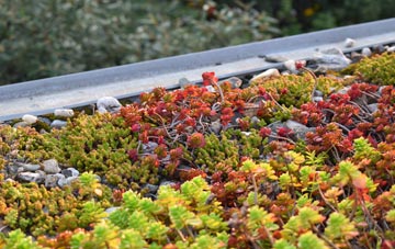 the cost of Pontbren Araeth green roof installation