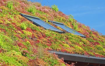 Pontbren Araeth living roof systems