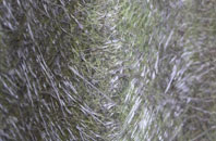 Pontbren Araeth fibreglass roof work